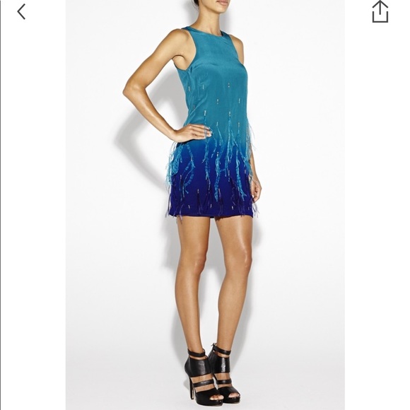 Nicole Miller Dresses & Skirts - Nicole Miller Jessi Feather Ombré Dress 10